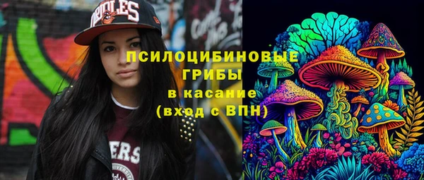 Альфа ПВП Алексин