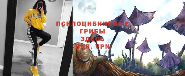 дживик Алексеевка