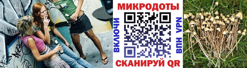 Псилоцибиновые грибы ЛСД  Миньяр 